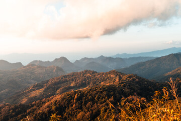 实测辅助”喜扣跑胡子打筒子有挂吗”(原来确实是有挂)